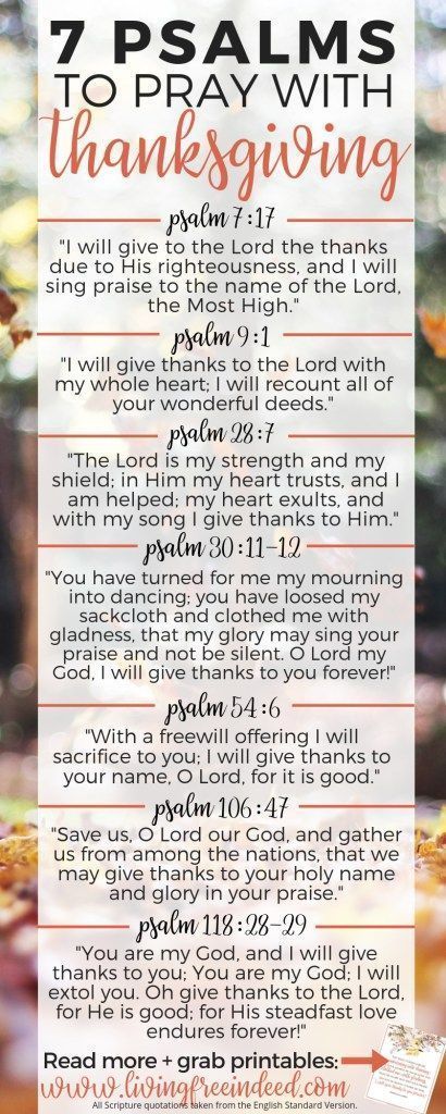 Why We Can Thank Jesus Everyday - Free Indeed | Psalms of Thanksgiving | Praying the Psalms | Attitude of Gratitude | Thanksgiving Bible Verses | What to Pray | Thanking God | Counting Your Blessings | Psalms to Pray Praying Through The Psalms, Things To Thank God For, Thanksgiving Psalms, Thanksgiving Bible Verses, Praying The Psalms, Thanking God, Free Indeed, The Psalms, Attitude Of Gratitude