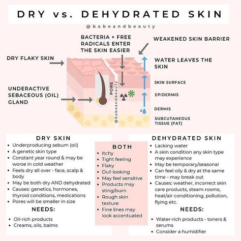 Facial Business, Skin Histology, Esthetician Career, Cosmetic Science, Holistic Esthetician, Esthetician Life, Skincare Facts, Beauty Ingredients, Esthetics Room