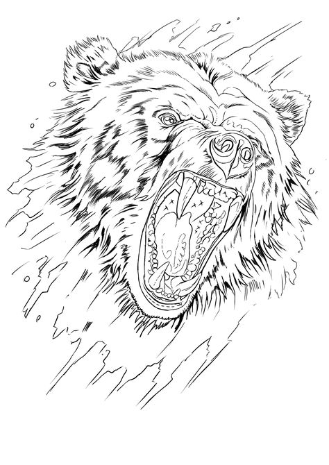 Grizzly Bear Face Tattoo, Bear Tattoo Outline, Bear Tattoo Stencil, Tattoos Stencils Outline, Grizzly Bear Tattoos, Chest Tattoo Stencils, Bear Tattoo Designs, Nature Tattoo Sleeve, Cool Tattoo Drawings