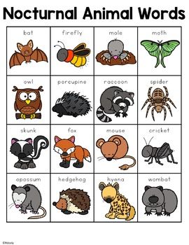 Nocturnal Animal Words Animals At Night Preschool, Preschool Nocturnal Animals Crafts, Prek Nocturnal Animals, Preschool Forest Animals Activities, Nocturnal Animals Preschool Crafts Art Projects, Night Animals Preschool, Preschool Nocturnal Animals Theme, Woodland Animals Preschool Activities, Preschool Nocturnal Animals