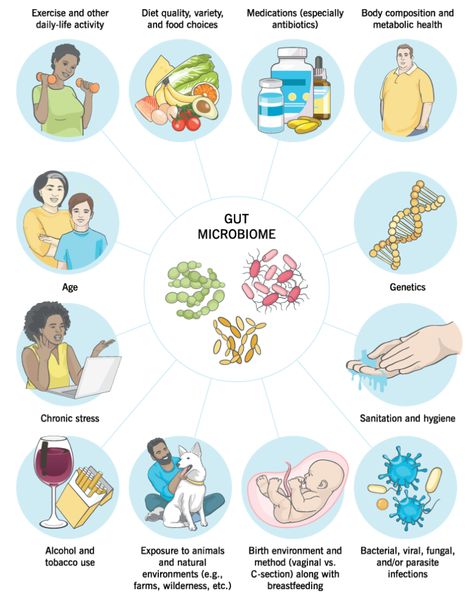 How to Improve Your Gut Health and Microbiome | Precision Nutrition Improve Your Gut Health, Precision Nutrition, Chronic Constipation, Gut Microbiota, Improve Gut Health, Fiber Supplements, Soluble Fiber, Gut Bacteria, Pass Out