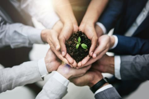 You Don't Have to Be All That Corporate to Make an Impact With Corporate Social Responsibility - Entrepreneur https://www.entrepreneur.com/article/295114    Corporate social responsibility is often talked about only in the context of large enterprises. However, weaving social consciousness into your company’s fabric is possible -- and even advantageous -- at the small business level, as well. We are seeing a definite uptick in the number of business owners who are integrating the Triple “P” Mode Sustainability Consulting, Lead Nurturing, Bookkeeping Business, Plastic Food Containers, Accounting Firms, Corporate Social Responsibility, High Angle, Career Woman, Sponsored Content