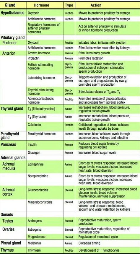 Hormones. | Medical school essentials, Medical school studying, Pharmacology nursing Hormone Study Notes, Human Body Hormones, Hormones Vs Neurotransmitters, Endocrine Hormones Cheat Sheet, Hormones And Their Functions, Endocrine System Hormones, Endocrine System Nursing, Medical Terminology Study, Teas Test