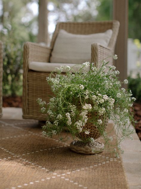 Classic Cottage Garden Front Porch French Cottage Front Porch, French Cottage Landscaping, Best Front Porch Plants, Front Porch Rugs Outdoor Ideas, English Cottage Front Porch, Traditional Front Porch Decor, Cottage Back Porch, Front Porch Landscaping Ideas, Garden Front Porch