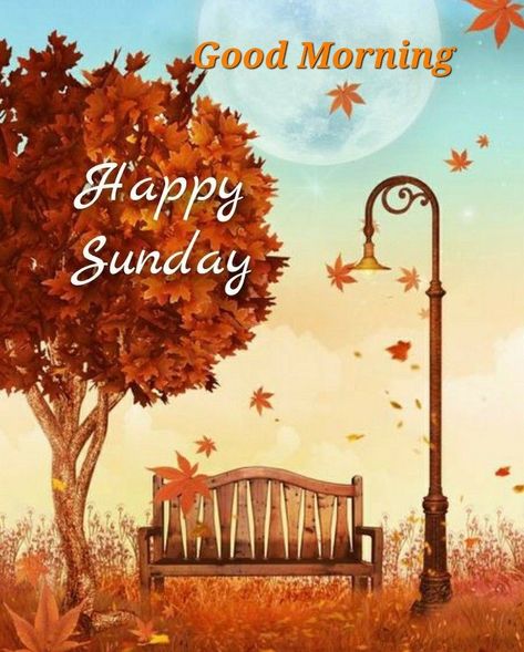 Fall Sunday Morning Quotes, Happy Sunday Autumn, Sunday Fall, Fall Friday, Fall Sunday, Fall Greetings, Weekly Blessings, Good Morning Sunday Images, Happy Sunday Morning