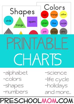 Preschool Color Theme Printables These printables provide children with opportunities to practice and review their basic color knowledge.   Featuring printable charts, wordwall cards, bingo games, file folder games, classroom charts, bookmarks coloring pages and more. Free Preschool Printables at Preschool Mom Free Printable File Folder Activities, Sorting By Size Preschool Free Printable, Free File Folder Games For Preschool, Color File Folder Games Free Preschool, Preschool Color Theme, Preschool File Folder Games, Bookmarks Coloring, Colors Chart, Preschool Charts