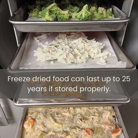 We love freeze drying food and it has been a game changer for our prepper pantry. Sugaring Recipe, Freeze Dried Meals, Food Storage Ideas, Healthy Freezer Recipes, Storing Food Long Term, Freeze Dried Food Storage, Prepper Pantry, Freeze Dried Food, Cured Egg