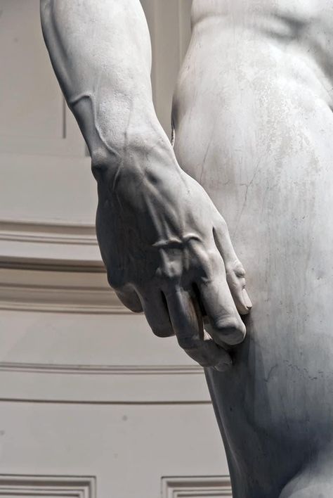 The veins in David's imposing right hand appear astonishingly lifelike, almost as if they are transcending the limitations of the marble they were meticulously carved from. Chief Architect, Greek Sculpture, Byzantine Art, The Marble, Marble Statues, Marble Sculpture, Small Canvas, Anatomy Art, Spiritual Art