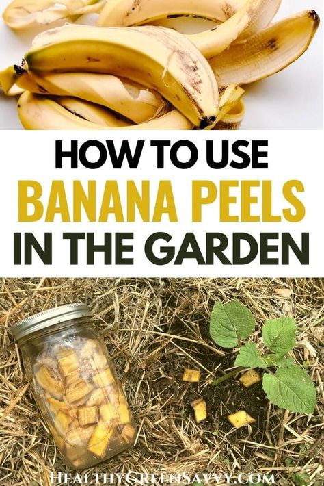 Banana Skin Fertilizer, Banana Peel Fertilizer, Banana Peel Uses, Ranch Animals, Diy Fertilizer, Natural Gardening, Homesteading Life, Banana Water, Banana Peels