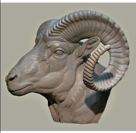 Inspirational Sculpture, Sheep Face, Gemini Art, Big Horn Sheep, Animal Adaptations, Bighorn Sheep, Scale Art, Greek Pottery, 1 Tattoo