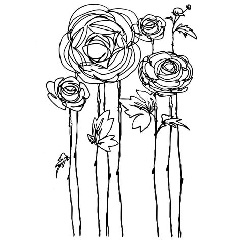 ranunculus Ranunculus Line Drawing, Ranunculus Drawing Simple, Ranunculus Flower Tattoo, Stamp Sketch, Buttercup Tattoo, فن النسيج, Line Drawing Tattoos, Wildflower Drawing, Ranunculus Flower