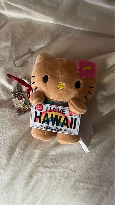 Hello Kitty Stuffed Animal, Hawaii Hello Kitty, Brown Keychain, Kitty Stuffed Animal, Animal Sitting, Hello Kitty Pink, Pink Brown, Stuffed Animal, Hawaii