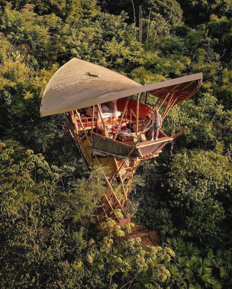 Bamboo treehouses floating in the jungles of Minca, Colombia. Watching the mist of the rainforest roll over you. Magical designs by @selvaminca Captured by @tjbetrippin and @selvaminca ___________________________________________ #architecture #inspiringarchitecture #design #interiordesign #inspiringhomes #designerhomes #spaces #inspiringspaces #home #homedesign #interiors #modernarchitecture #moderndesign #dreamhome #homeinspiration #naturaldesigns #our.chitecture #luxury #lifestyle #a... Minca Colombia, Roofing Ideas, The Rainforest, The Mist, Inspiring Spaces, Modern Architecture, Tree House, Luxury Lifestyle, Mist