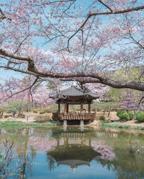 Korean Nature, Korean Landscape, Japan Film, Korean Traditional House, Traditional Korean House, Korean Architecture, Japanese Countryside, Japan Flower, Spring In Japan