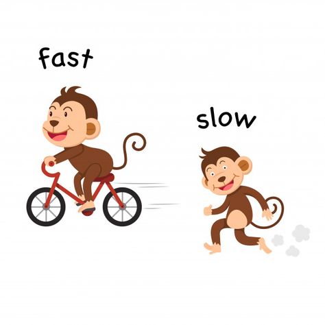 Fast And Slow Activities Preschool, Opposites For Kids, Hijab Logo, Body Parts Preschool, Korean Illustration, Addition Kindergarten, Alphabet Kindergarten, Opposite Words, Fast And Slow