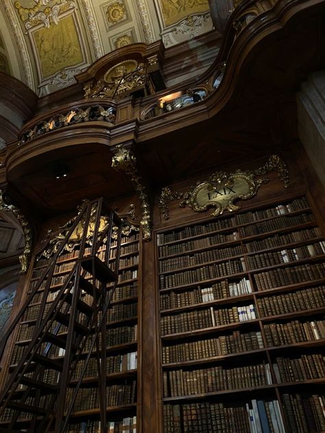 Studera Motivation, Dark Acadamia, Dream Library, Chaotic Academia, Old Library, Library Aesthetic, Dark Academia Aesthetic, The Secret History, Academia Aesthetic