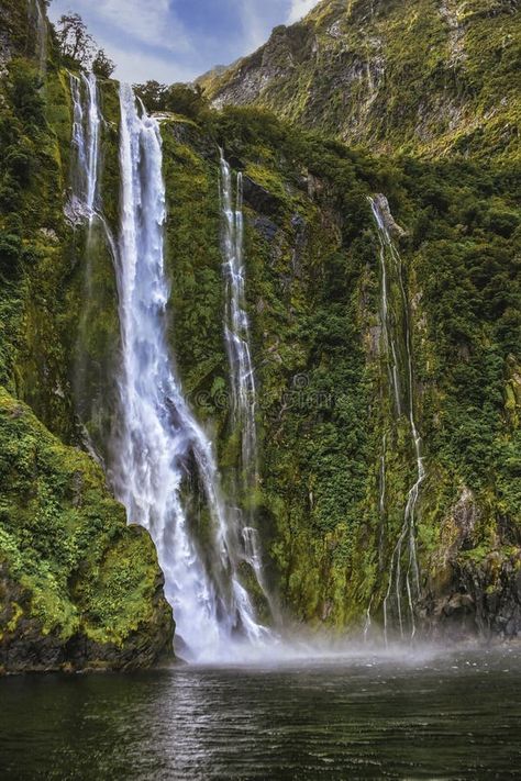 Stirling Falls, Milford Sound, Fiordland, New Zealand stock photos Fiordland New Zealand, New Zealand Tourist Attractions, Milford Sound New Zealand, Valley Of Flowers, New Zealand Landscape, Milford Sound, Beautiful Waterfalls, 2025 Vision, Stirling