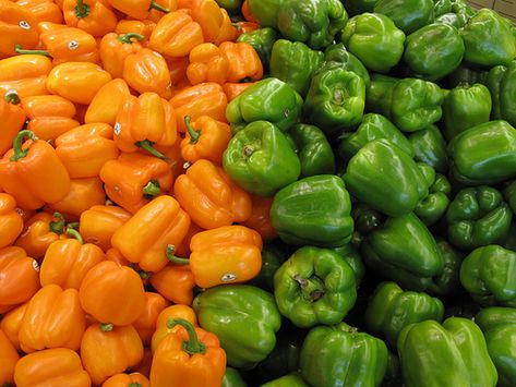 Dehydrating green, red, or yellow bell peppers is not hard to do. The dried pepper yields very intense flavor, and is a nice addition to your kitchen bag of tricks. Dehydrated peppers of any color also store well, so they add to your long-term food supplies, as well. The dried 'meat' of the bell pepper can be ground up and used as a seasoning for cooking, or added at the table on salads, pasta or other dishes. Once rehydrated, not only the bell pepper can be used but the flavorful water used to Oven Dehydrating, Dehydrating Peppers, Dehydrated Peppers, Drying Peppers, Italian Sausage Casserole, Drying Fruit, Green Pepper Soup, Sausage Casserole Recipes, Pepper Casserole