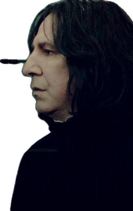 Snape Fanfiction, Snape X Y/n, Severus Snape Kiss, Severus Snape X Y/n, Severus Snape X Reader, Severus Snape Romance, Severus Snape Hermione Granger, Snape And Hermione, Severus Snape Memes Hilarious