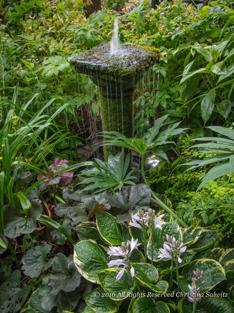 Bog Garden, Outdoor Water Features, Garden Water Fountains, Garden Water Feature, Fountains Backyard, Garden Waterfall, Backyard Water Feature, Have Inspiration, Water Features In The Garden