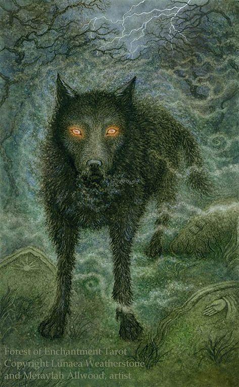 Black Shuck, Witch Forest, Tarot Decks Art, All Tarot Cards, Dark Cave, Tarot Book, Enchanted Wood, The Hierophant, Crystal Cave