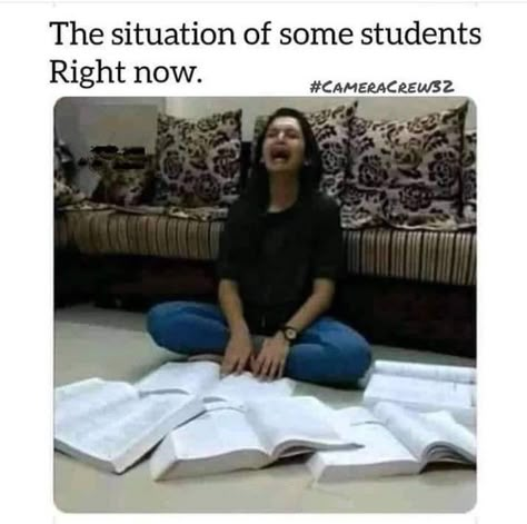 Exam Memes, Exams Memes, Studying Funny, Studying Memes, Exams Funny, Exam Quotes Funny, Jokes Hilarious, Funny Puns Jokes, Hilarious Jokes