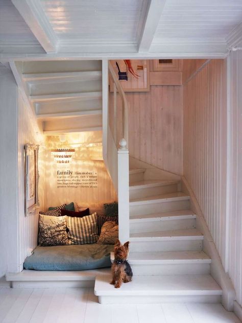 Under Stairs Dog House, Under Stairs Nook, Stair Nook, تحت الدرج, Dog Room Decor, Dog Bedroom, Stair Case, Dog Rooms, Understairs Storage