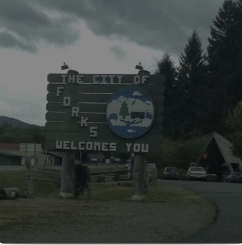 Twilight Dr Aesthetic, Forks Washington Forest, Washington Forks Aesthetic, Welcome To Forks Twilight, Twilight Forks Aesthetic, Washington Forest Aesthetic, Forks Aesthetic Twilight, Twilight Aesthetic Forest, Washington Twilight Aesthetic