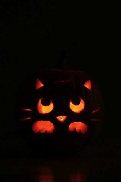 Cat Face Pumpkin, Cat Pumpkin Carving, Unique Pumpkin Carving Ideas, Cozy Fall Home, Pumpkin Idea, Pumpkin Cravings, Cute Pumpkin Carving, Ideas For Autumn, Pumkin Carving