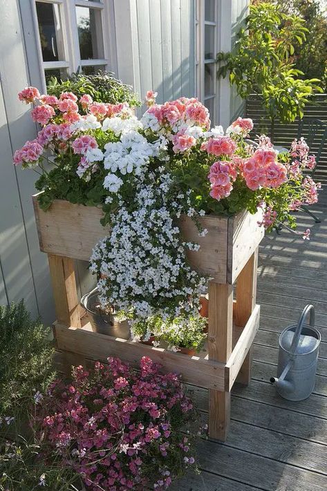 13 Raised Bed Ideas for Balcony Gardeners | Balcony Garden Web Small Flower Gardens, Backyard Flowers Garden, Patio Flowers, Porch Flowers, Small Balcony Garden, Balcony Flowers, Garden Flower Beds, Backyard Flowers, Balcony Plants