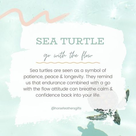 Sea Turtle Quotes, Symbol Of Patience, Calm Confidence, Turtle Quotes, Sea Turtle Pictures, Sea Turtle Design, Turtle Tattoo Designs, Sales Quotes, Turtle Love