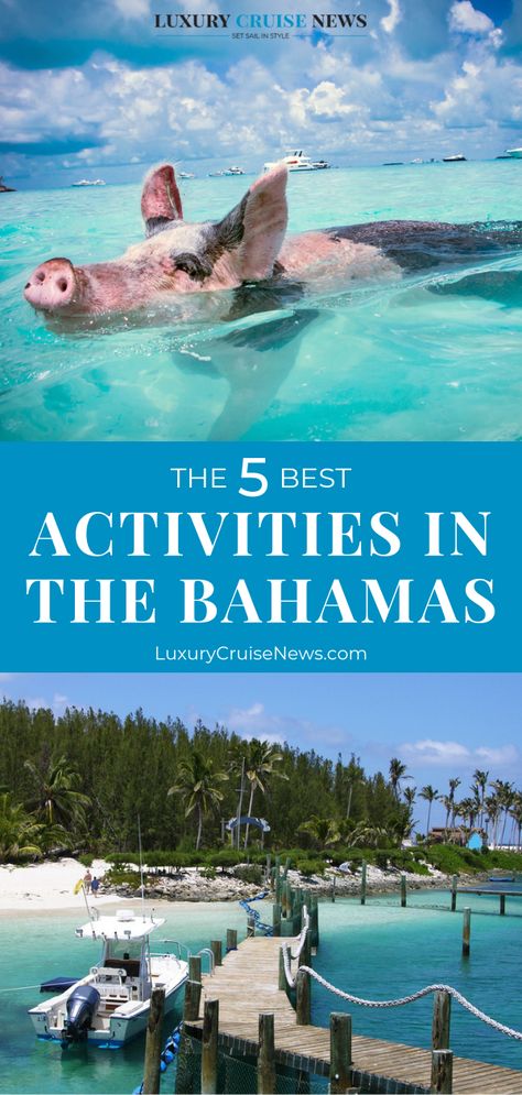 Atlantis, Paradise Island in the Bahamas offers a host of fun land excursion activities. Here are our top five favorite ways to spend sun-drenched days in the archipelago. - Luxury Cruise News #bahamascruise #cruisedestinations #landexcursions Manchester Travel, Atlantis Bahamas, Caribbean Vacation, Bahamas Travel, Bahamas Vacation, Bahamas Island, Travel Baby, Bahamas Cruise, Camping Holiday