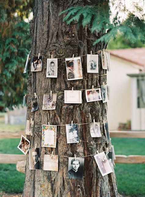 Creative Wedding Guest Books, Wedding Photo Display, Photo Garland, Idee Babyshower, Short Note, Deco Champetre, Barn Wedding Photography, Display Photos, בר מצווה