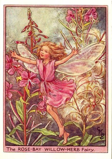 Book Content, 동화 삽화, Calendar Book, Fairy Illustration, Elves And Fairies, Fairy Pictures, Cicely Mary Barker, Fairy Artwork, Audio Book