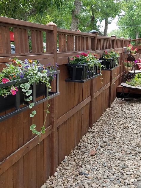 Hanging Plants Outdoor Fence, Plants Against Fence, Garden On Fence, Wooden Fence Decorating Ideas, Backyard Townhouse, Fence Decor Ideas, Gardening Flowers Ideas, Hanging Plants Outdoor, Diy Gazebo