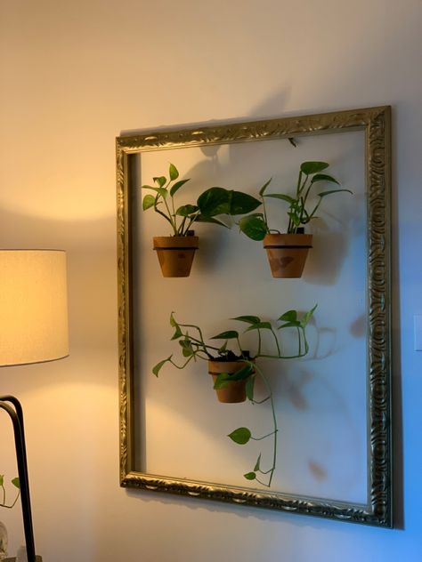 DIY FLOATING MINI PLANTER FRAME Frame With Plants Inside, Framed Plants On Wall, Plants In Frames, Plant Frame Wall Decor, Plant In Frame, Empty Frames On Wall Decor Ideas, Hanging Glass Frames, Cali House, Plant Frame