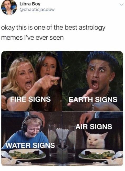 #astrology #astrologymemes #zodiac #zodiacmemes#memes #astromeme#horoscopememes Astrology Humor, Horoscope Funny, Aquarius Truths, Zodiac Funny, Horoscope Reading, Zodiac Signs Leo, Zodiac Sign Traits, Air Signs, Water Signs