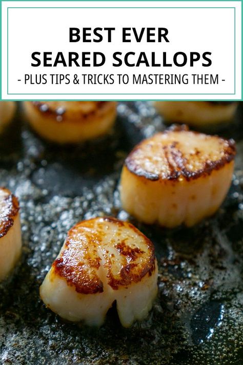 Easy Scallop Recipes, Frozen Scallops, How To Cook Scallops, Pan Seared Scallops, Seared Scallops, Scallop Recipes, Fish Dinner, Scallops Seared, Seafood Dinner