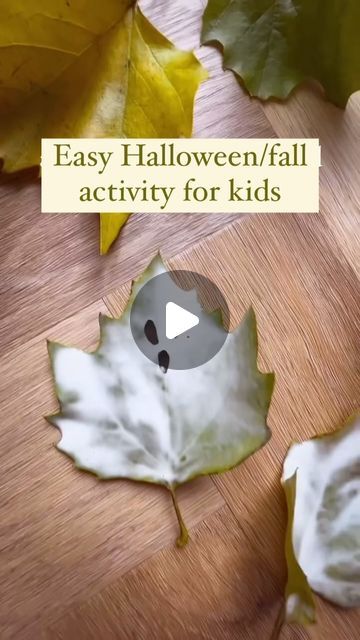 Dan Dean on Instagram: "Save this for when you want to impress your children with your amazing crafty skills 😂🙌🏼. Remember you’re a cool mom, not a regular mom 😉👻🍁

All you need are leaves, PVA glue, and some black card or paper for the eyes and mouth.

#halloweenkids #fallactivitiesforkids #falldiy #kidscrafts #ghostcrafts #halloweencrafts #fallcrafts #kidsart #toddleractivities #fallfun Halloween crafts for kids 
DIY ghost leaves 
Fall leaf crafts 
PVA glue crafts 
Easy Halloween decorations 
Window art for kids 
Toddler fall activities 
Spooky leaf crafts 
Autumn crafts for kids 
Simple Halloween DIYs" Toddler Fall Activities, Pva Glue Crafts, Ghost Leaves, Halloween Decorations Window, Autumn Crafts For Kids, Fall Leaf Crafts, Fall Activities For Toddlers, Diy Ghost, Halloween Window Decorations