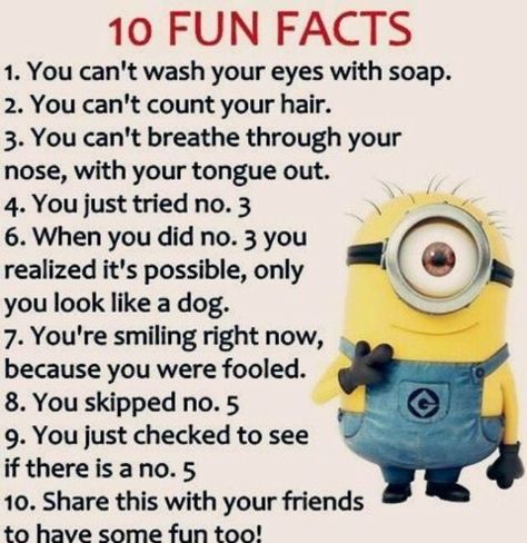 Clean Funny Quotes, Minion Memes, Funny Minion Pictures, Funny Minion Memes, Minion Pictures, Minion Jokes, Funny Mind Tricks, Sleepover Things, A Minion