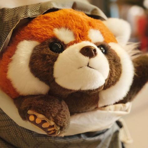 Rusty, the large Red Panda plush, is here to guard your room with charm and warmth in these windy days. #popchiu #plushiesofinstagram #redpanda #stuffedanimals #plush #hug #hugtoy #plushies #stuffedtoy Red Panda Stuffed Animal, Red Panda Plush, Panda Things, Panda Stuffed Animal, Panda Plush, Plushies Cute, The Narrator, Red Pandas, Orange Aesthetic