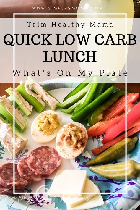 Learning to put meals together for (THM)? Here are ideas for a full day of quick summer meals for the Trim Healthy Mama lifestyle. #THM #TrimHealthyMama #whatsonmyplate #breakfast #lunch #dinner #snack #kefir #Emeals #shake #keto #lowcarb Thm Lunches For Work, Thm Lunch Ideas, Quick Healthy Meal Ideas, Thm Lunch, Trim Healthy Mama Breakfast, Eat To Perform, Quick Summer Meals, Trim Healthy Mama Diet, Are Ideas