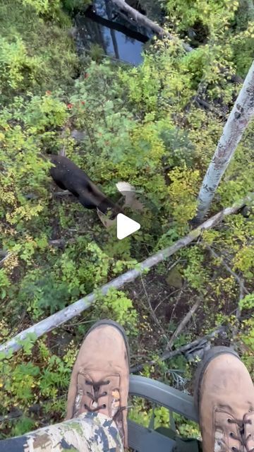 Rockymountainracks on Instagram: "Super cool tree stand experience from last hunting season, I’m trying too locate his sheds, tips would be awesome! #moose #treestand #hunting #therut" Deer Stand Ideas, Tree Stands Hunting Deer, European Mount Ideas, Hunting Hacks, Hunting Aesthetic, Tree Stand Hunting, Hunting Stands, European Mount, Moose Hunting