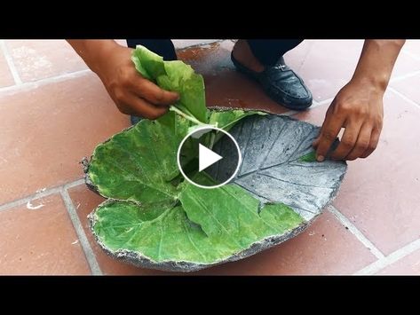 Cement Leaf Casting, Concrete Diy Garden, Leaf Casting, Cement Leaves, Concrete Bird Bath, Concrete Leaves, Diy Concrete Planters, Cement Garden, Front Yard Landscaping Diy