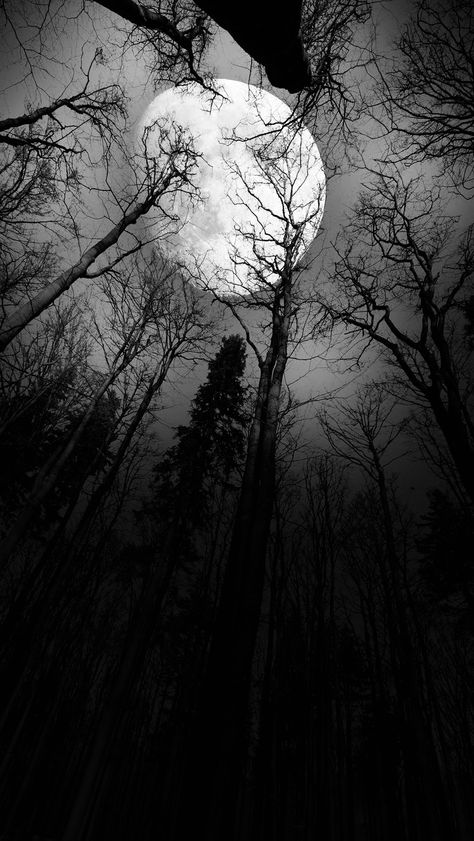 Spooky Moon Wallpaper, Goth Photography Aesthetic, Black And White Scenery Drawing, Gothic Pictures Aesthetic, Black White Asthetics Photos, Shadows Aesthetic Dark, Gothic Photography Aesthetic, Pretty Dark Backgrounds, Dark Ios Wallpaper