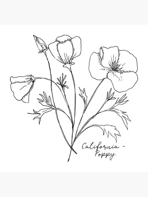 Flower Tat, Poppin Bottles, Botanical Illustration Vintage, Easy Doodles Drawings, California Poppy, Floral Sleeve, Ink Illustrations, Simple Doodles, Poppy Flower