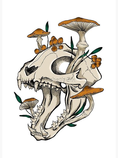 Skull With Mushrooms, Animal Skull Drawing, Cat Skull Tattoo, Skull Sketch, Cat Skeleton, Animal Skeletons, Skull Art Drawing, Mushroom Drawing, Skeleton Tattoos