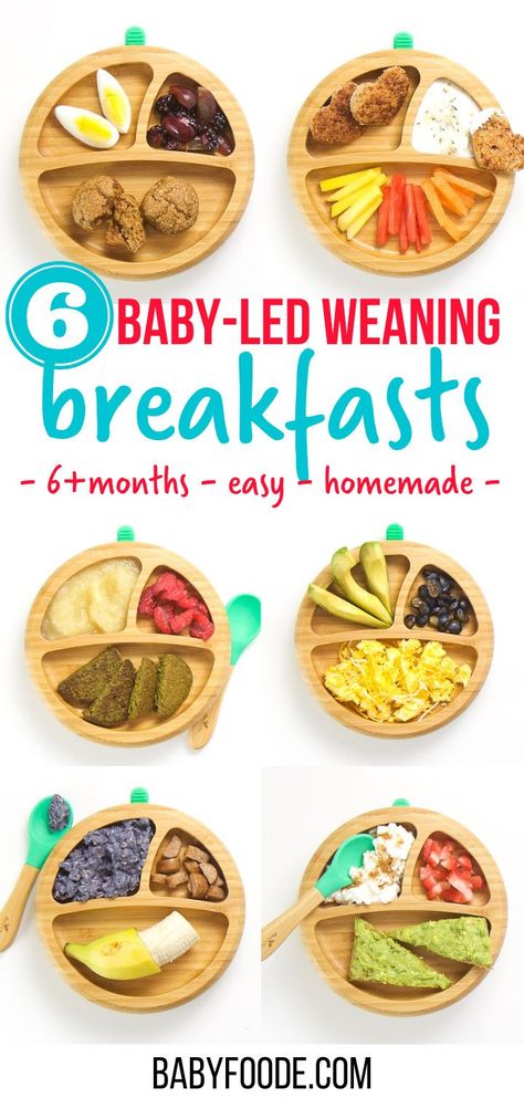 Blw Breakfast Ideas 7 Months, 11 Month Old Breakfast Ideas, Infant Breakfast Ideas, Breakfast For Babies, Blw Breakfast Ideas, Led Weaning Breakfast, Brekky Ideas, Baby Led Weaning Breakfast, Baby Led Weaning First Foods