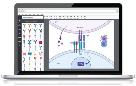 Biorender create diagrams Graphical Abstract Science, Websites For Drawing, Science Graphics, Title Generator, Illustration Software, Abstract Science, Scientific Poster, Find Icons, Scientific Illustration