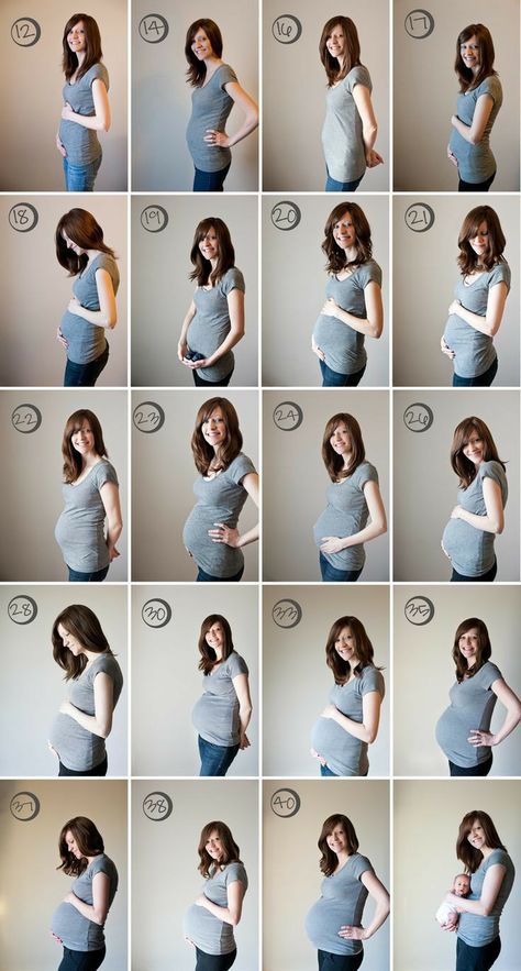 Monthly Pregnancy Photos, Weekly Pregnancy Pictures, Baby Bump Progression, Baby Diary, Baby Bump Pictures, Bump Pictures, Pregnancy Belly Photos, Pregnancy Progression, Baby Announcement Pictures